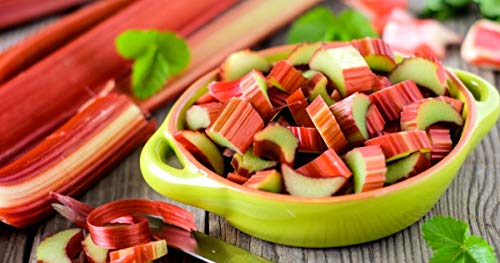 Rhubarb Seeds Pie Plant Around 50 Seeds - Thumbnail 2