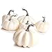 Package of 6 Fall Artificial Assorted Harvest Off White Pumpkins for Halloween, Fall and Thanksgiving Decorating