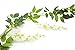 5pack Flower Garland Artificial Wisteria Garland Vines Faux Wisteria Vine Fake Hanging Flowers for Wedding Floral Decor-Total 33ft (White)