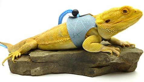 Ogle Lizard Leash, Limited Edition Turquoise Web (extra-large size)