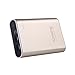 Lumsing 13400mAh Portable Charger - Compact 2-Port Ultra Portable Phone Charger Power Bank with PowerIQ Technology for SmartPhones,Tablets(Gold)