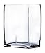WGV Glass Rectangle Block Vase, Width x Length 3