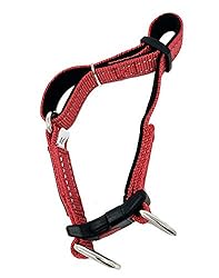 Albcorp Reflective Service Dog Collar - Service Dog