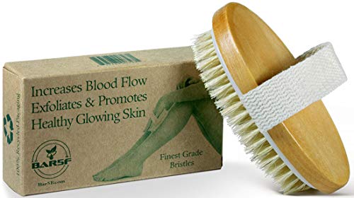 1 Dry+Body+Brush+Cellulite+Circulation