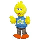 Sesame Street Rockin Abc Big Bird