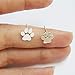 RoseSummer Dogpaw Earring Silver Plated Dog Paw Print Ear Studs Dog Lovers Jewelry (silver)