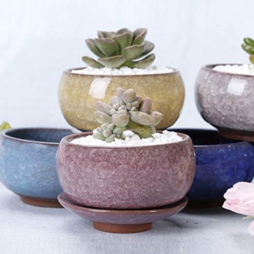 G-LEAF Succulent Plant Pot, Ceramic Cactus Planter Small Flower Pots, Chinese Style Decor Herb Plant Holder for Indoor Outdoor Home Garden Office Plant Container, (6, Coloful)