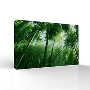 Canvas Wall Art-Sunshine in The Forest -Canvas Prints Home Artwork Decoration for Living Room,Bedroom - 12x18 inches