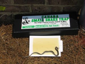 (.1 pk) snake trap small with 3 catch inserts / reusable