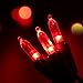 Brizled Red Christmas Lights, 33ft 100 LED Connectable Christmas String Light, 120V UL Certified LED Light String for Indoor & Outdoor, Xmas Tree, Garden, Party and Holiday Decoration