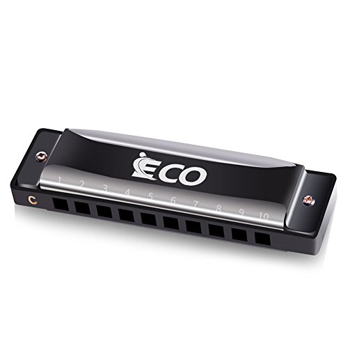 Diatonic Harmonica – 10 Hole Blues Harp with Case, Learning Instruction, Polishing Cloth, Key of C