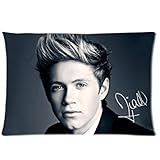 Vintage Charming Niall Horan 1D One Direction Custom Zippered Pillowcase Pillow Cases Cover 20x30 (one side)