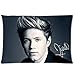 Vintage Charming Niall Horan 1D One Direction Custom Zippered Pillowcase Pillow Cases Cover 20x30 (one side)
