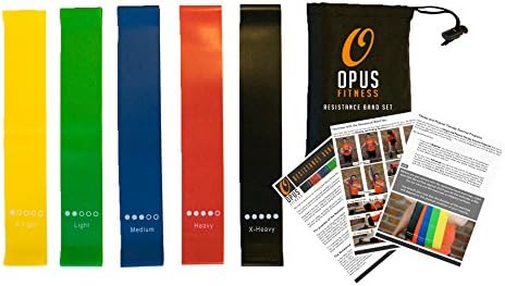 Resistance Bands Training Exercise Set – 80 Day Obsession Equipment – Also for Injury Rehabilitation and Physical Therapy – Set of Five Bands with Carrying Case and Full Instructions