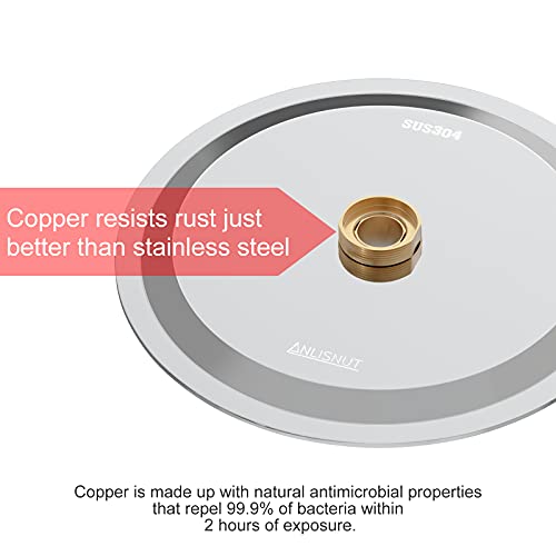 Anlisnut 6 inch High Pressure Rain Shower Head,Copper Screw Joint, Integrally Formed Swivel Ball,304 Stainless Steel Fixed Showerhead (Polished Finish)