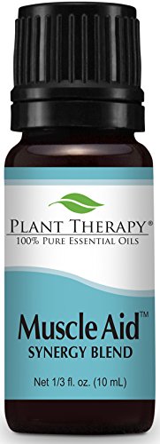 Plant Therapy Muscle Aid Synergy Essential Oil Blend. 100% Pure, Undiluted, Therapeutic Grade. Blend of: Wintergreen, Camphor and Pine. 10 ml (1/3 oz).