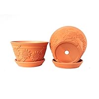 Set of 2 Raised Sunflower Embellished Natural Terracotta Garden Pot with Tray