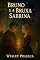 Livro Bruno e a Bruxa Sabrina
