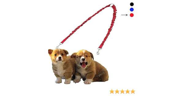 LANGING 1 acoplador doble para perro, sin enredos, divisor de correa para pasear cachorros pequeños y medianos, color rojo