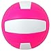 Baden Match Point Cushioned Synthetic LeatherOutdoor Recreation Backyard Volleyball + College Camp Ball All Ages Official Size 5