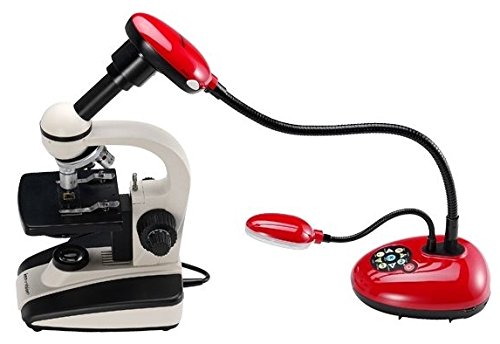 Lumens-DC192-Ladibug-High-Definition-Document-Camera