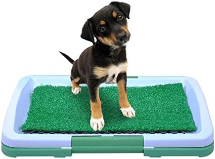 Iso Trade Toilette Pour Chien Interieur Bac à Litière Intérieur Domestiques Tapis Dherbe 46533 55 Cm 922