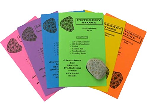 PETOSKEY STONE (includes real petoskey stone!) Rock Polishing Kit DIY Fun For All Ages!