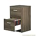 DEVAISE 2-Drawer Wood Vertical File Cabinet / Letter Size, 16.2