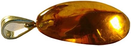 Dominican Amber Pendant Honey Color