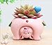 Youfui Adorable Succulent Planter Pig Flower Pot with Drainage Hole - Pencil Brush Holder - Cute Resin Decorative Garden Planter for Indoor Plants, Home Decor Gift