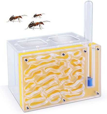 Soddyenergy Ant Housing Nest Insect Cage Farm Feed Hamper Plastic Acrylic Display Square Box