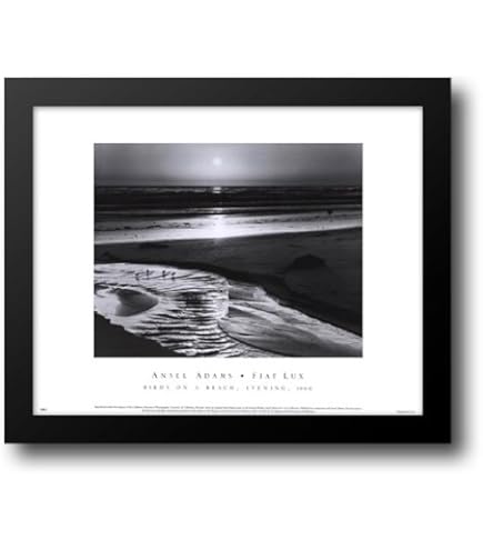 Pie in the Sky/ハワード バーマン/ポスター Amazon.com: Pie in The Sky 2X Matted 26x32 Large Black