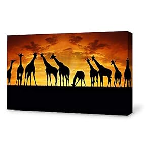Canvas Wall Art for Living Room,Bedroom Home Artwork Paintings Charming Sunset Ready to Hang - 12x18 inches