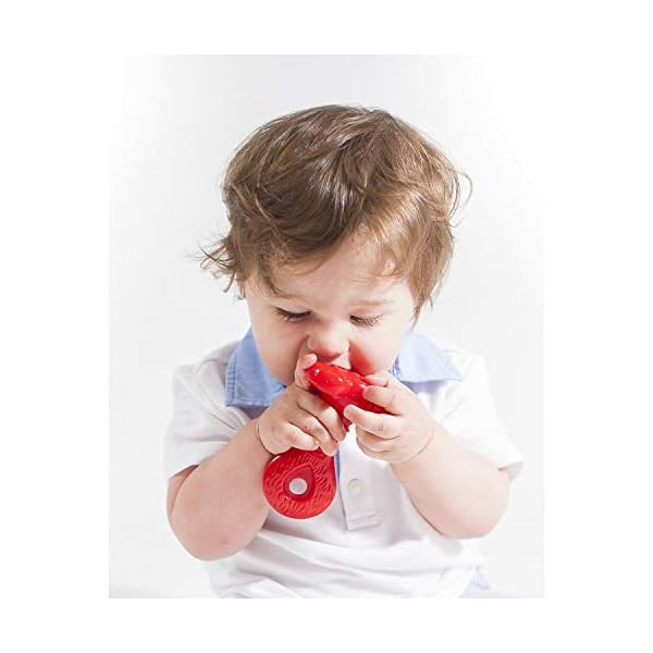 discovery toys teether