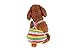 Pack of 2 Pet Dog Cat Physiological Shorts Doggy Kitten Underwear Pants Diapers Strip Design Tighten Strap Sanitary Briefs Panties for Puppy Kitty Color at Random (XS)
