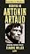 Livro Escritos de Antonin Artaud (Coleção Rebeldes & Malditos)