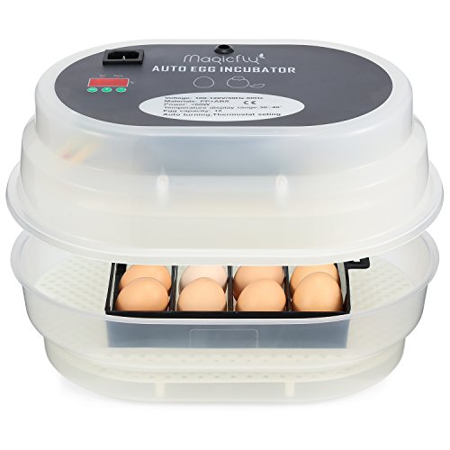 4 Magicfly+Digital+Automatic+Incubator+Chickens