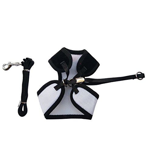 Layboo Soft Handsome Collar Rabbit Little Dogs Cats Harness With Leash Size (M, black) - Thumbnail 5