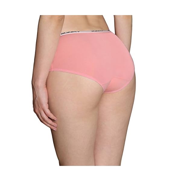 INNERSY Underwear for Women Stretch Cotton Knickers Multipack Full Briefs Soft Panties Pack of 6 - Image 4