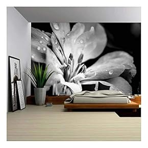 Flower with Raindrops - Canvas Art Wall Mural Decor - 66"x96"