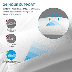 NEIPOTA Bed Pillows for Sleeping Queen Size Set of