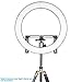 Neewer Photo Studio LED Ring Light Lighting Kit - 19-inch Outer 14-inch Inner 3200-5600K CRI 96+ Dimmable Bi-color SMD LED Ring Light with Bracket, 2-meter Light Stand for Portrait Video Shooting