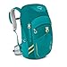 Osprey Jet 18 Kid's Backpack, Real Teal, One Size, (Prior Season)