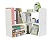 PAG Desk Organizer Desktop Shelf Adjustable Countertop Bookshelf Small Table Shelves Book Organizer Office Organization for Desk, White