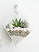 GeoTerrariums Diamond Terrariums Hanging Wall Planters, Clear Glass (7 x 5 inches), Pack of 4