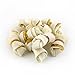 Dingo Mini Bones Made From Natural Rawhide And Real Chicken, 21-Count