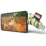 E-thinker Trail Camera Viewer 4 in 1 Game Camera Memory Card Reader-Trail Hunter View Hunting Photos and Videos or Any Wildlife Game Camera on Smartphone for iPad Mac & Android,SD & Micro SD