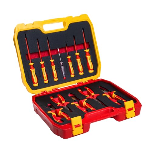 HOEGERT TECHNIK 12-Piece Electrician’s Tool Kit, 1000V Insulated Screwdriver Set with Slotted & Phillips Screwdrivers, Pliers, Voltage Tester and Plastic Carry Case