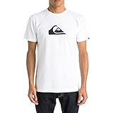 Quiksilver Mens Mw Logo Mt0 T-Shirt