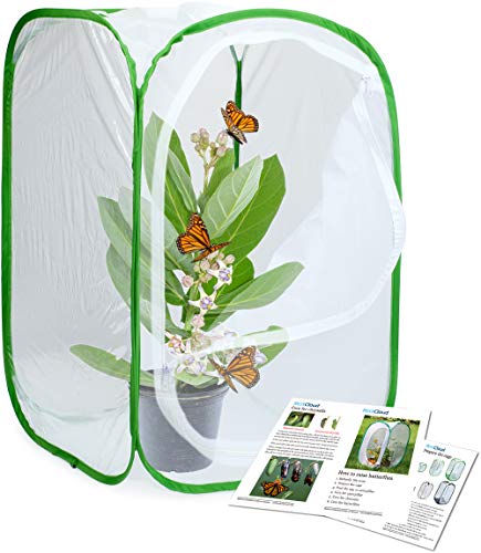 RESTCLOUD Butterfly Habitat Cage